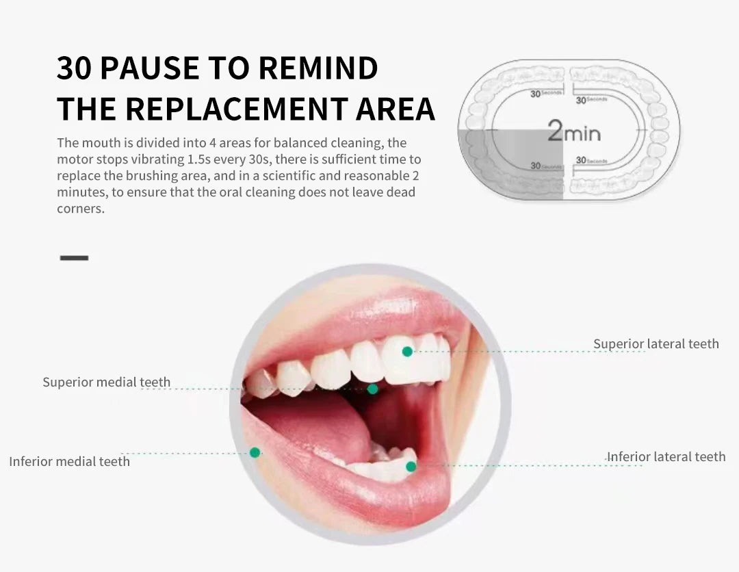 IPX7 Waterproof Sonic Electric Toothbrush