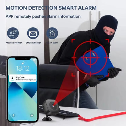 Wireless WiFi Mini Security Camera with Night Vision