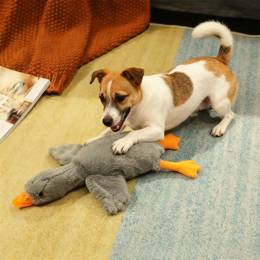 50cm Duck Plush Toy for Pets – Soft Anxiety Reliefc